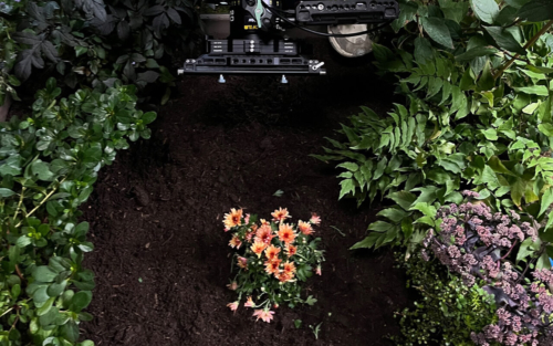 Benjamin Amaru waiting Nektar BTS 6