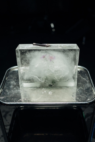 Benno Gut KNMHM 04 Rouven Niedermaier