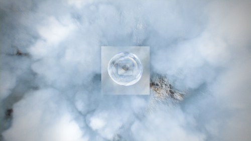 Vitarbo Next Generation Luca Zellweger Nektar Still 02