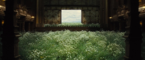 nuesch sister feed 9