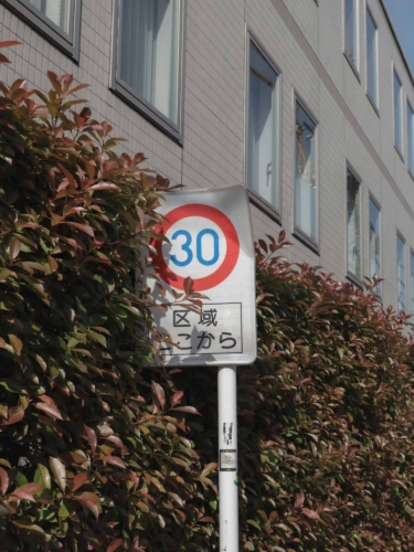 Selina Seibel Nektar 02 min