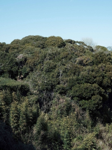 Selina Seibel Nektar 04 min