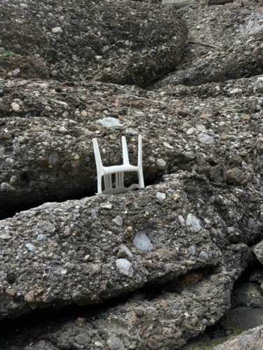 NEKTAR Selina FEED10